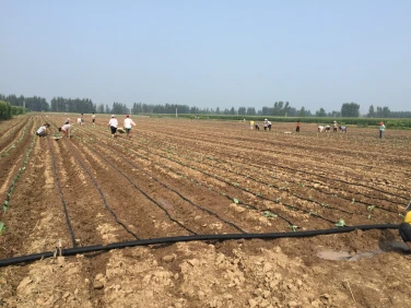 PE Drip irrigation tape PE Drip irrigation tape