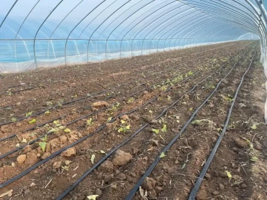 PE Drip irrigation tape PE Drip irrigation tape